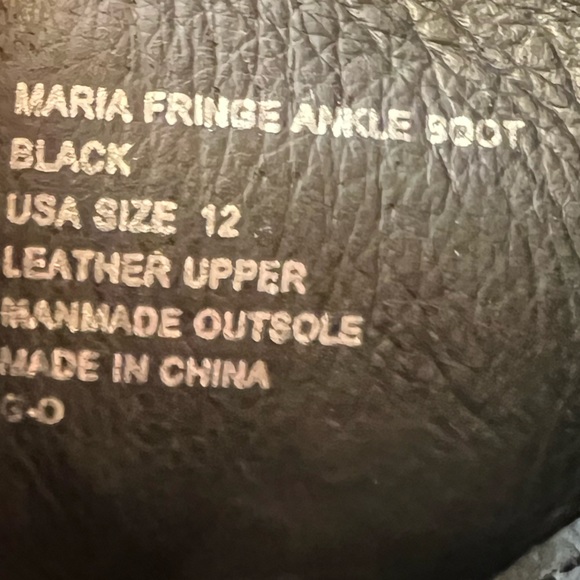 Brand new Lane Bryant Maria fringe ankle boot with fringe.  Size 12.  Never worn - Picture 2 of 10